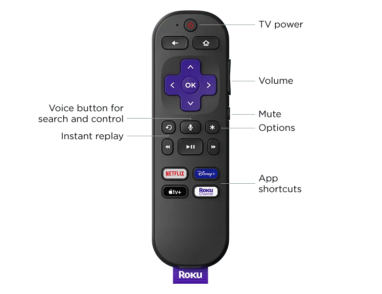 rokustream.it.com
